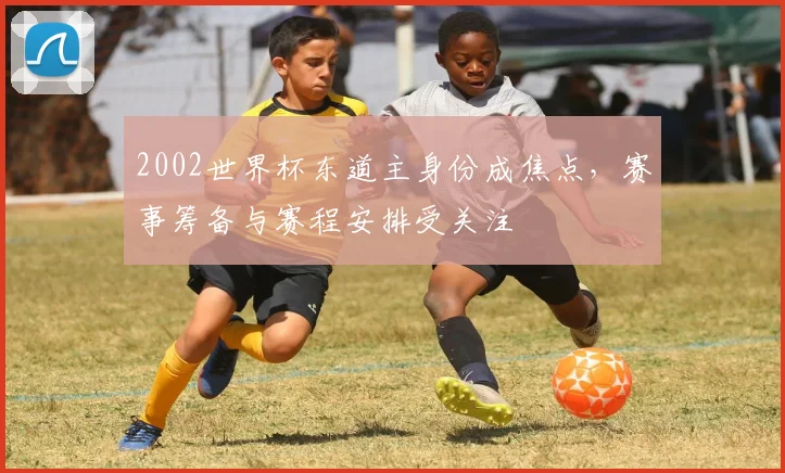 2002世界杯东道主身份成焦点,赛事筹备与赛程安排受关注