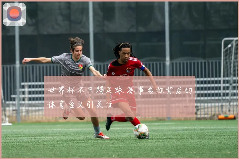 世界杯不只踢足球 赛事名称背后的体育含义引关注